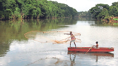 Biodiversity