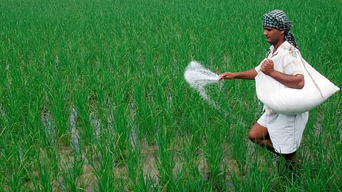 Fertilizer