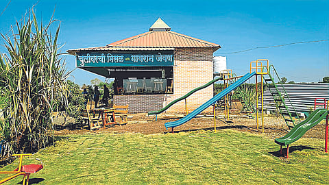 Agri Tourism