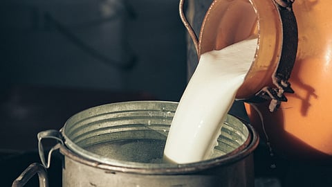 Milk