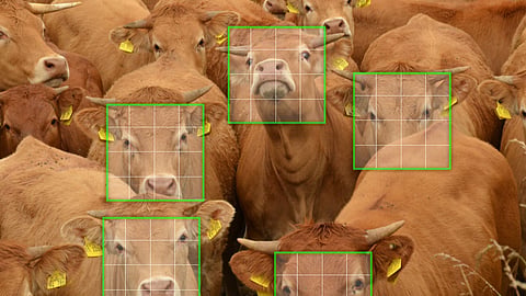 Agriculture Technology