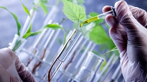 Agriculture research