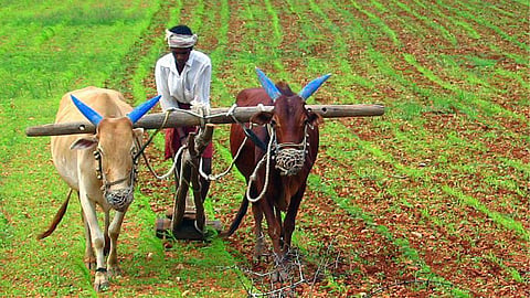 Kharip Sowing