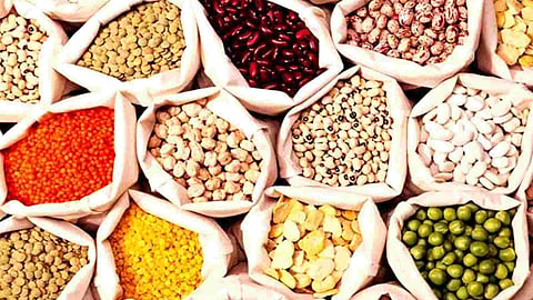 Agriculture Commodity