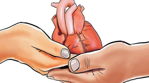 Organ Donation
