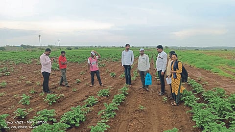 Crop Damage : अतिवृष्टीमुळे नुकसान झालेल्या शेतीची पाहणी
