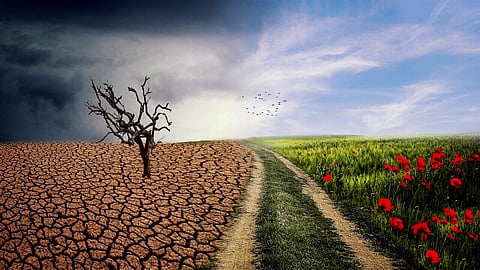 Agriculture Policy