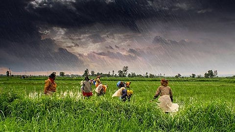 Monsoon 