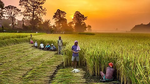 Rural Development