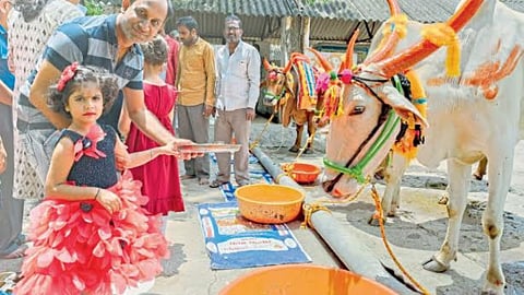 Bailpola Celebration
