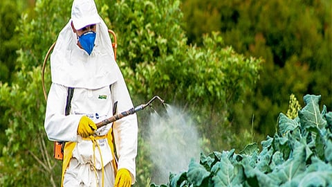 Pesticide 
