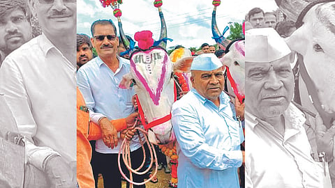 Khilar Bull