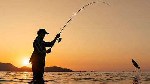 Fisheries