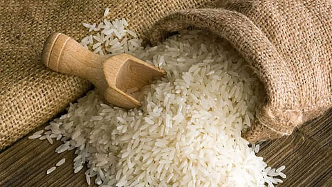 Rice Production