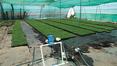 Nursery