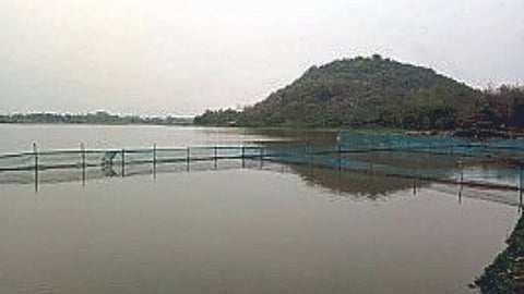 Fisheries