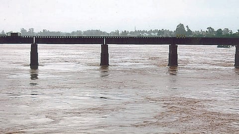 Kolhapur Rain Update 