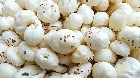 Makhana