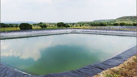 Farm Pond