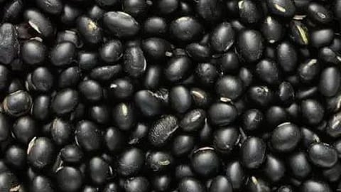 Black Gram