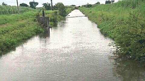 Irrigation 