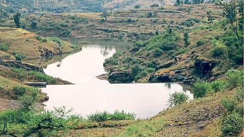 Rural Development