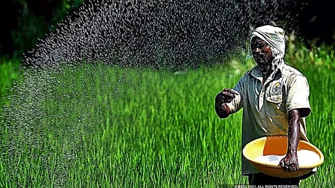 Fertilizer 