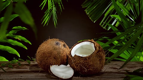 Coconut 