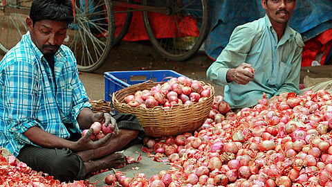 Onion Producers