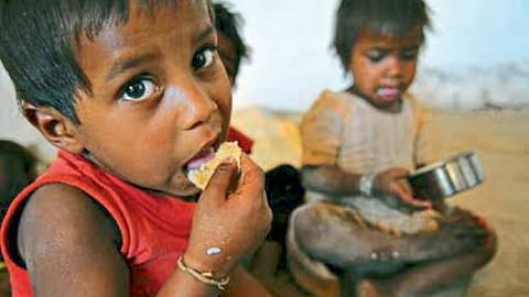 Malnutrition 