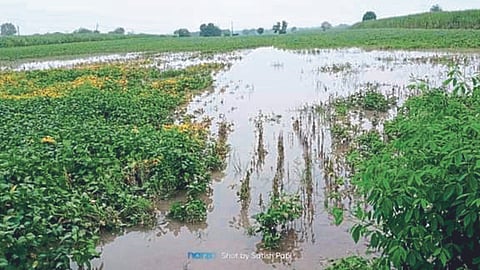 Heavy Rainfall