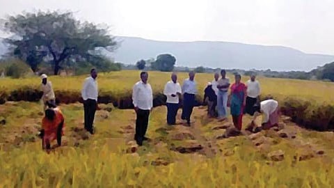 Crop Harvesting
