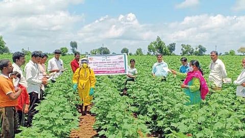 Agriculture