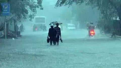 Monsoon Rain