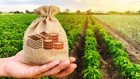 Crop Loan