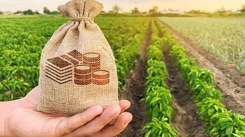 Agricultural credit