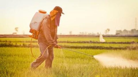 Spraying 