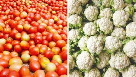 Vegetable Market