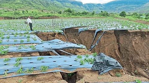 Crop Damage