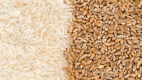 Paddy Procurement