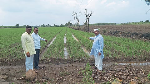 Crop Damage