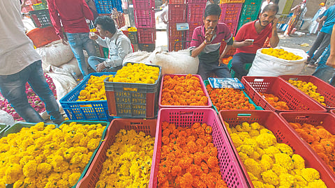 Flower Market