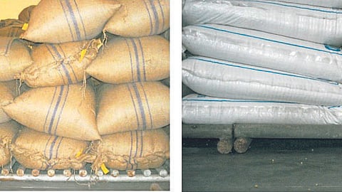 Soybean Crop Management