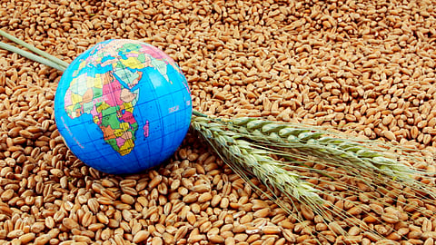 Food Security