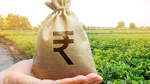 Crop Loan