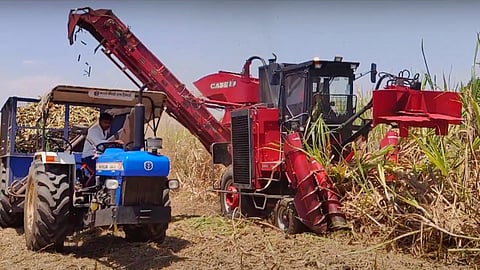 Sugarcane Harvesting