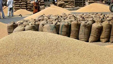 Paddy Producers