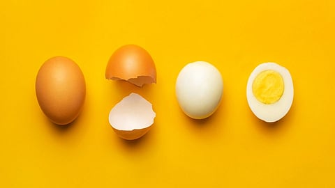 Egg Diet