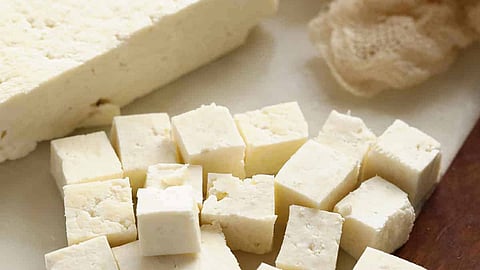Dairy Industry