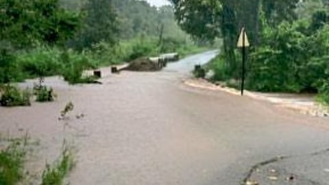 Rain Update